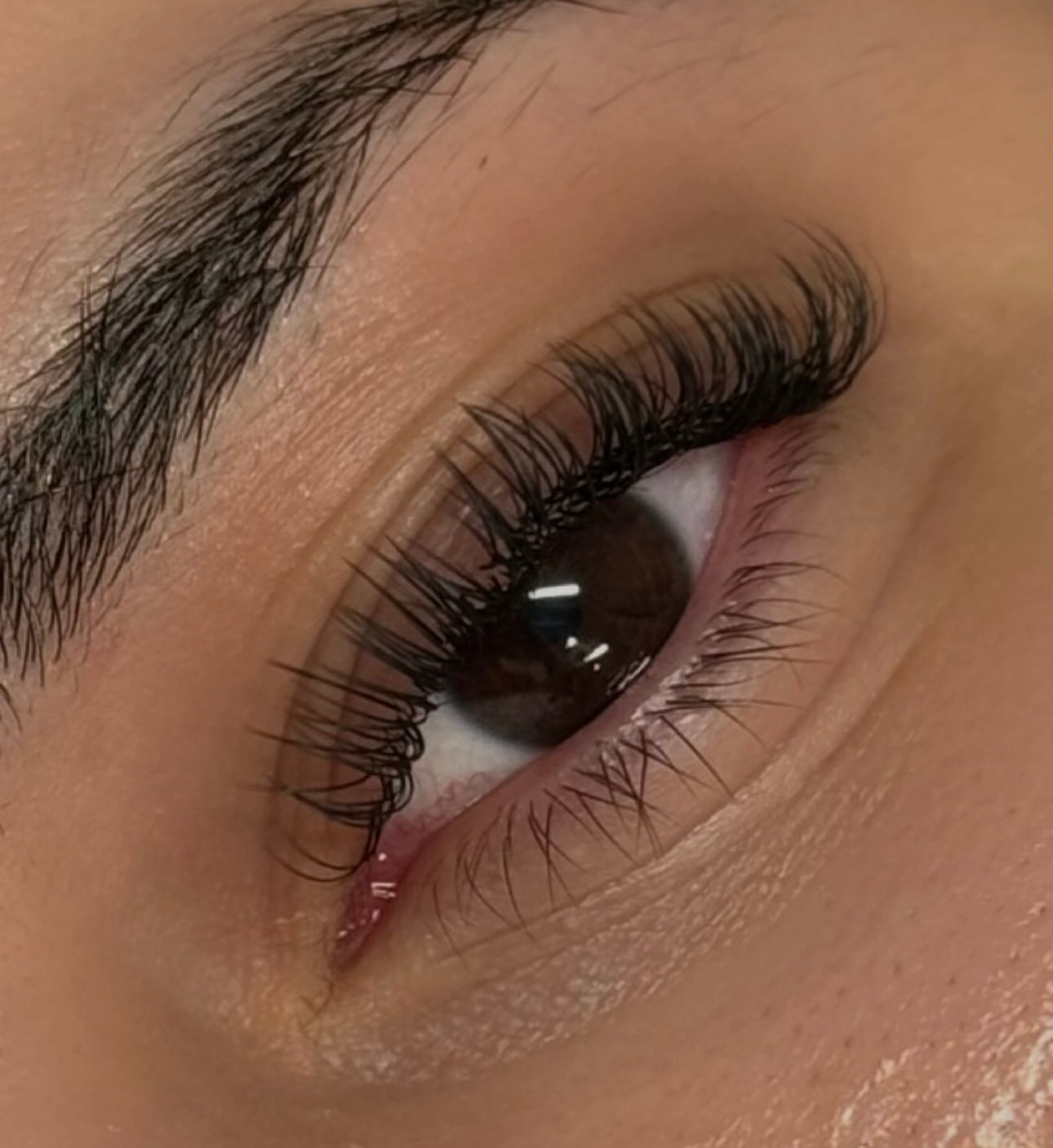Mega Classic Lashes